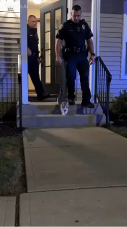Ai police arrest