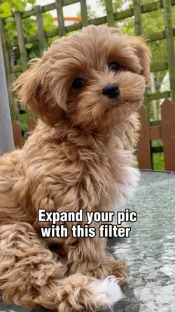 Expand filter