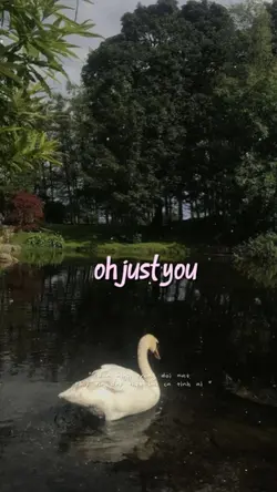 oh just you 
