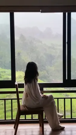 6 videos 