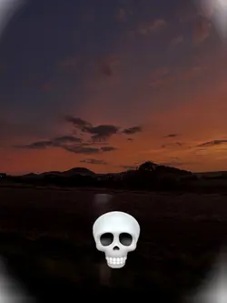 💀