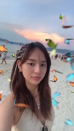 butterflies