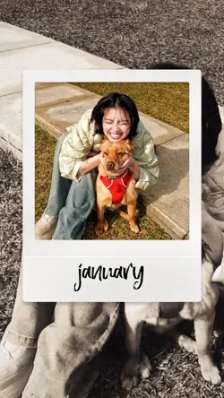 monthly recap