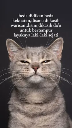 layaknya laki2