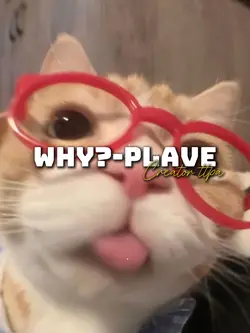why?-plave