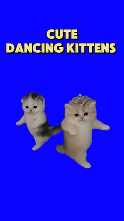 CUTE DANCING KITTENS