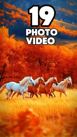 19 clip or photo