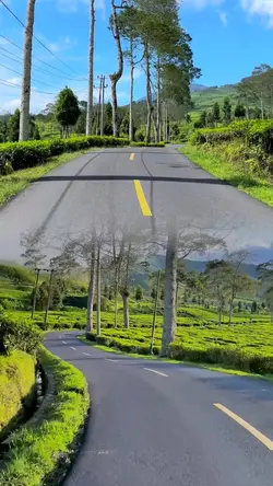 2 videos 1 frame