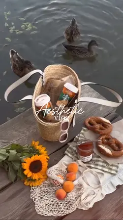 Aesthetic Vlog