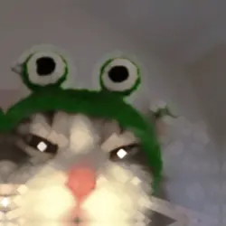 meow meow