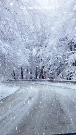 Tuyết rơi snow