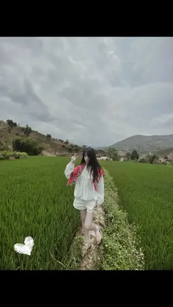 1 ảnh 