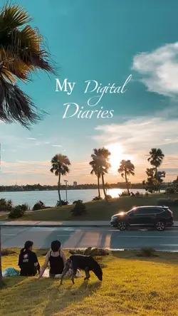 My digital diaries