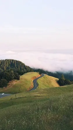Soft Reflection