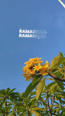 CINEMATIK MARHABAN