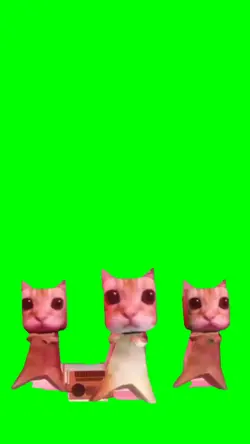 chipichipichpachapa