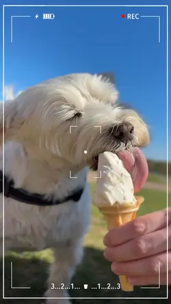 Cute snapshot camera