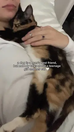 cats 💕