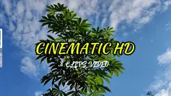 8 CLIPS VIDEO HD