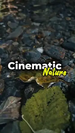 cinematic nature