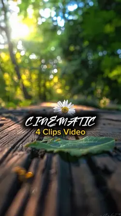 4 Clips Video