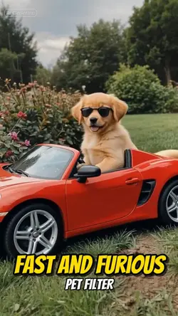 Fast and Furious PET