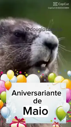 aniversariante Maio
