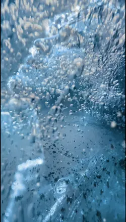 WATER WORLD