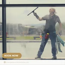 Windows Cleaning 