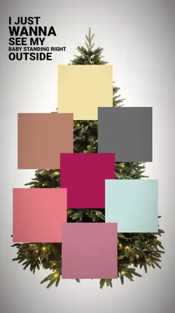 Christmas tree pics 