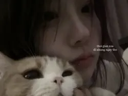Lyircs + màu