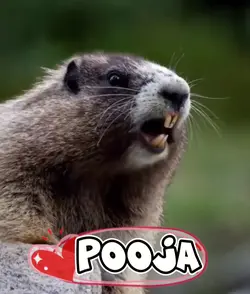 POOJA