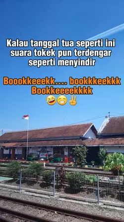 tanggal tua