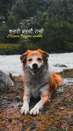 Timro maya ma