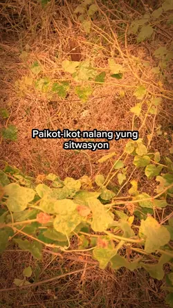 Paikot-ikot