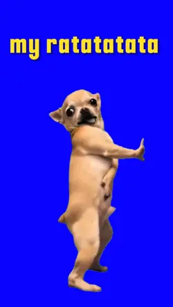 My Ratatatata