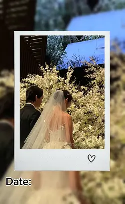 Wedding pov