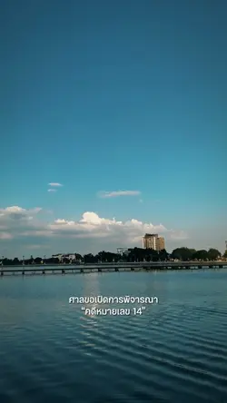 คดีหมายเลข 14