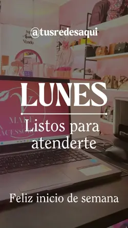 Lunes Negocio