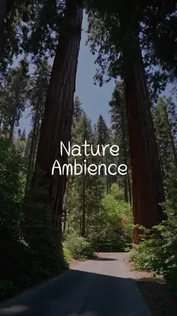 Nature Ambience 