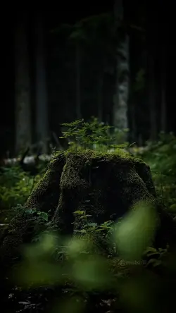 Cinematic 