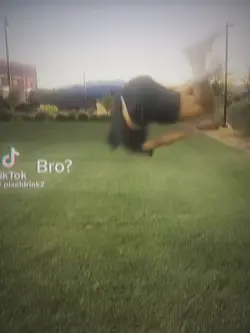 backflip