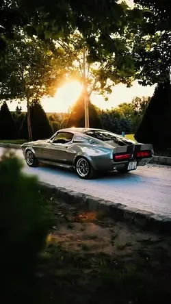 ✨✨Classic Car✨✨