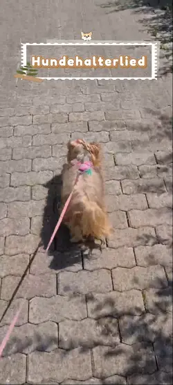 Hundehalterlied