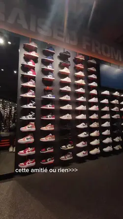 cette amitié ou rien