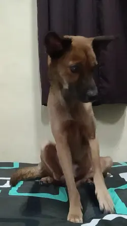 napansin ko lang