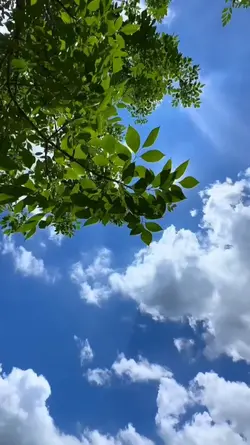 aku yang salah 8 vid