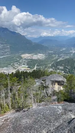 The view 
