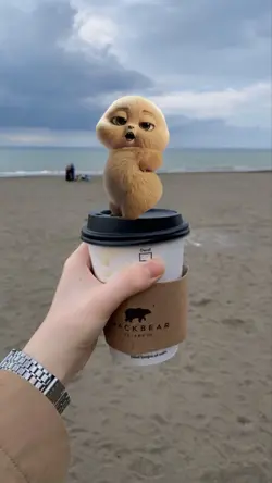 TREND POKKO