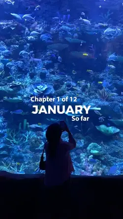 Januari recap
